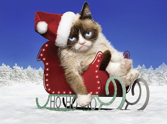 Grumpy and Merry Cats